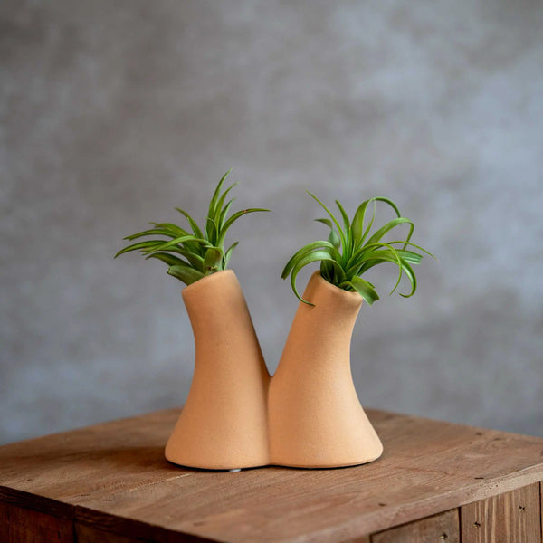 Tube Vase Beige Met Airplant