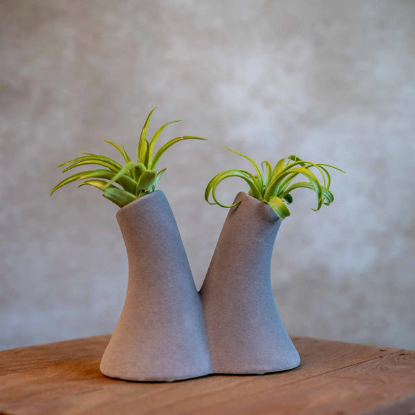 Tube Vase Grijs met Airplant