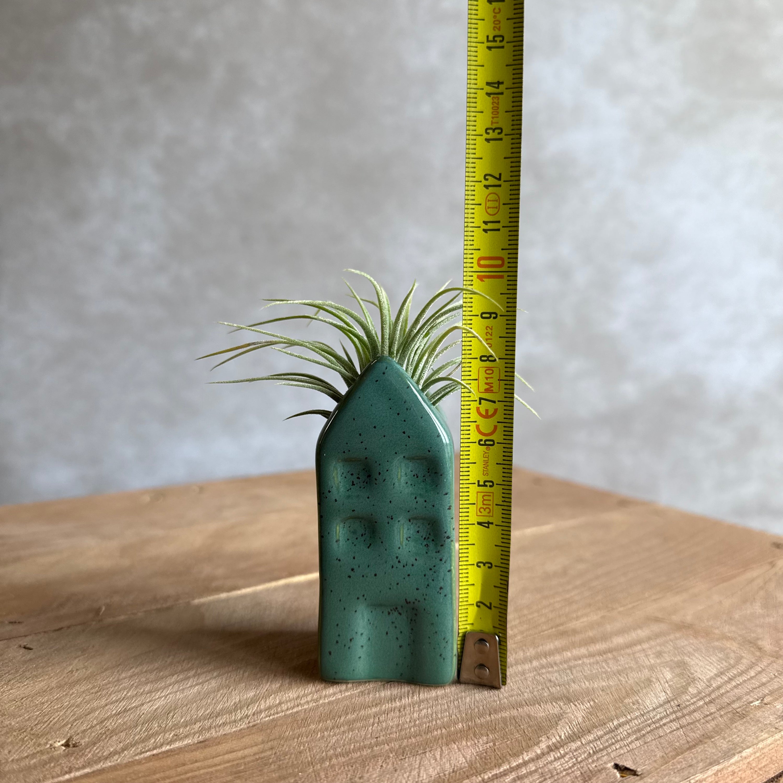 Grachtenpandje + airplant