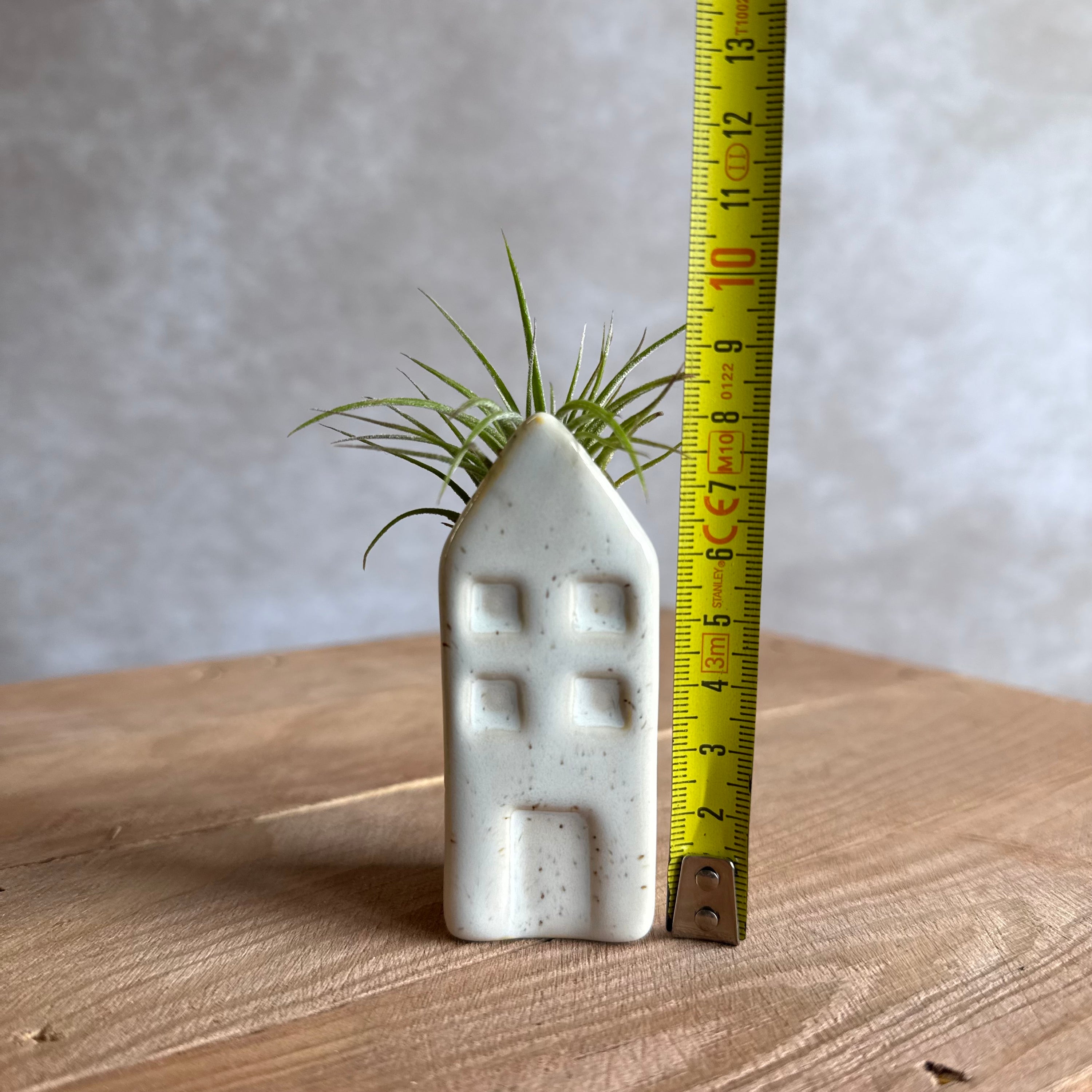 Grachtenpandje + airplant
