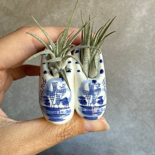 Magneet klompjes 5cm met airplant