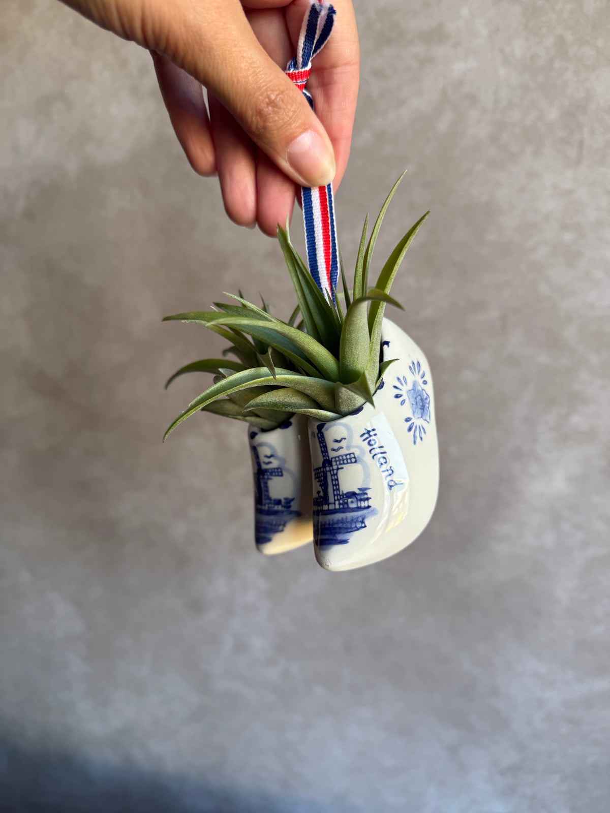 Klompen 8cm met airplant