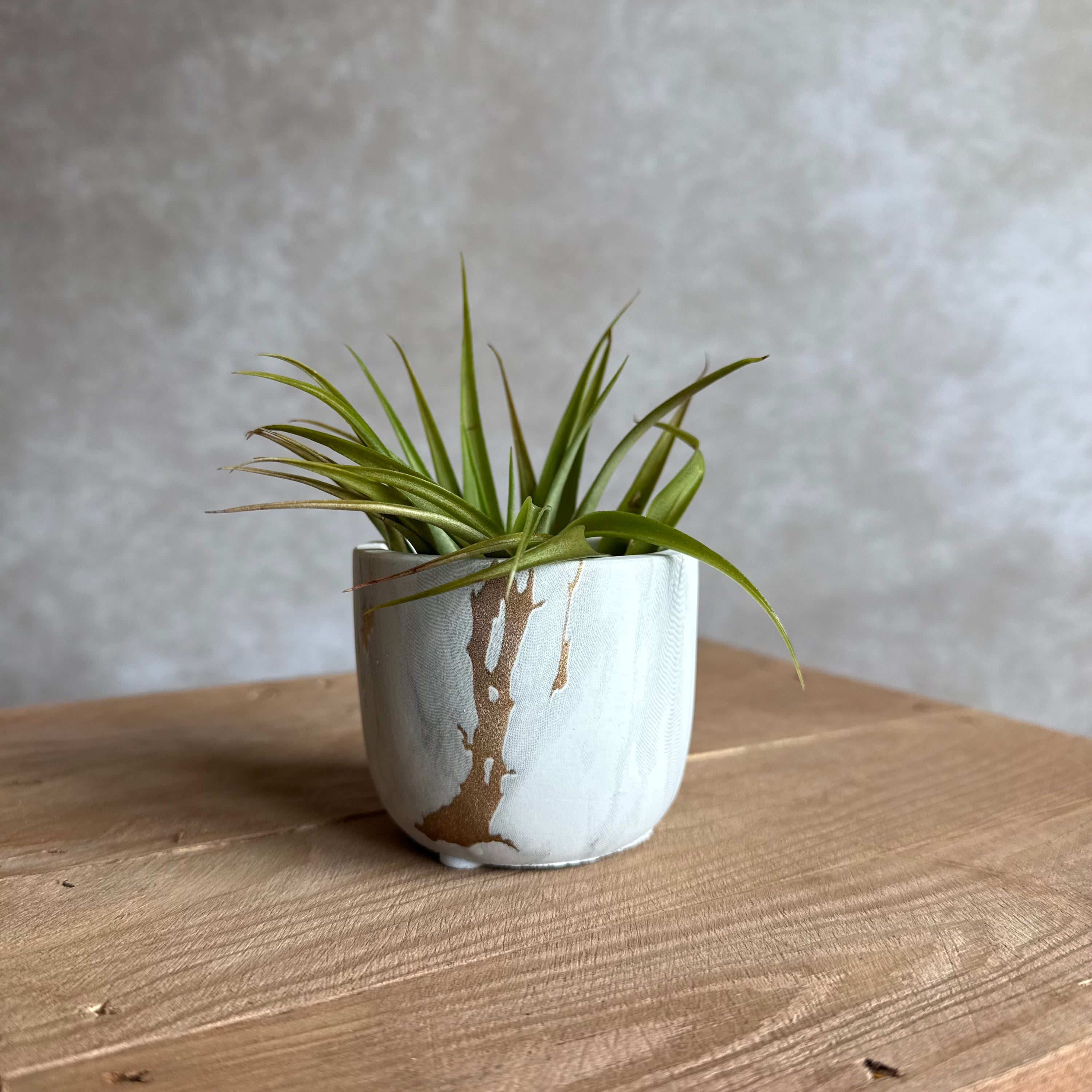 Marmer potje + airplant