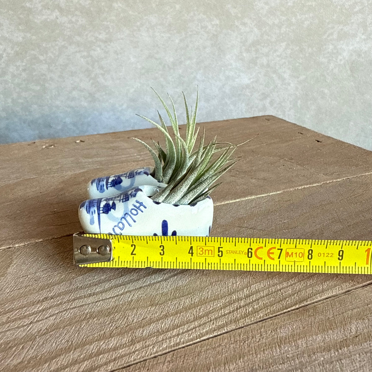 Magneet klompjes 5cm met airplant