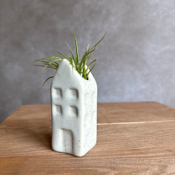 Grachtenpandje + airplant