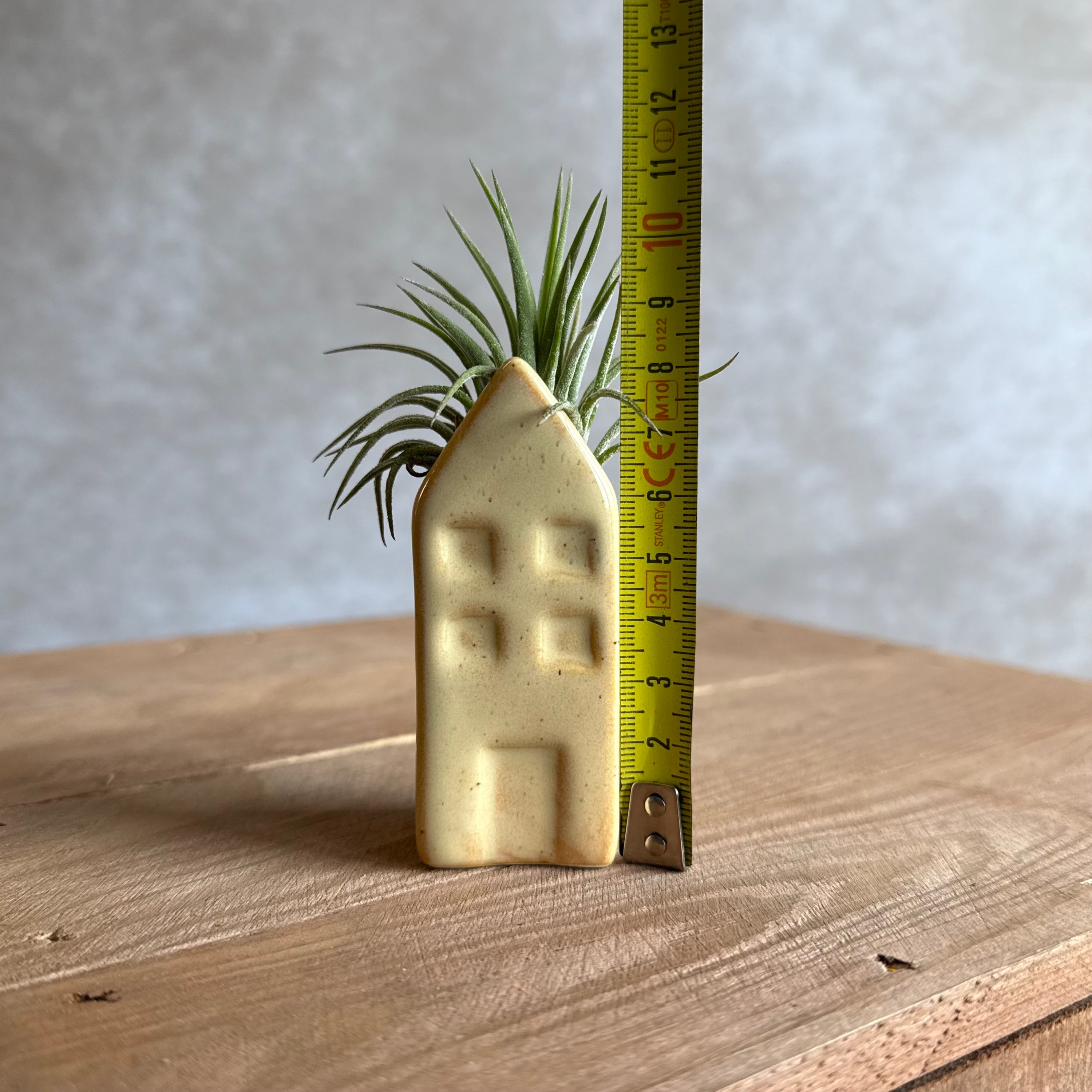 Grachtenpandje + airplant