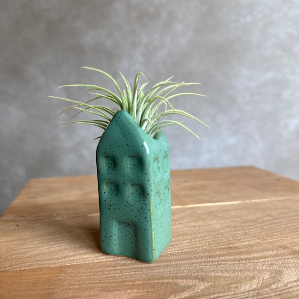 Grachtenpandje + airplant
