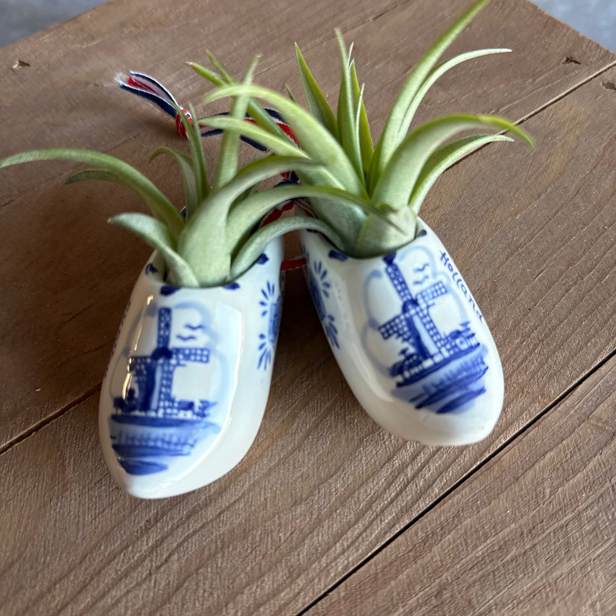 Klompen 8cm met airplant
