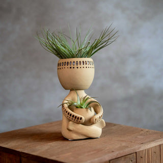 Airplant Man met Tillandsia