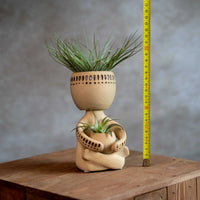 Airplant Man Met Tillandsia