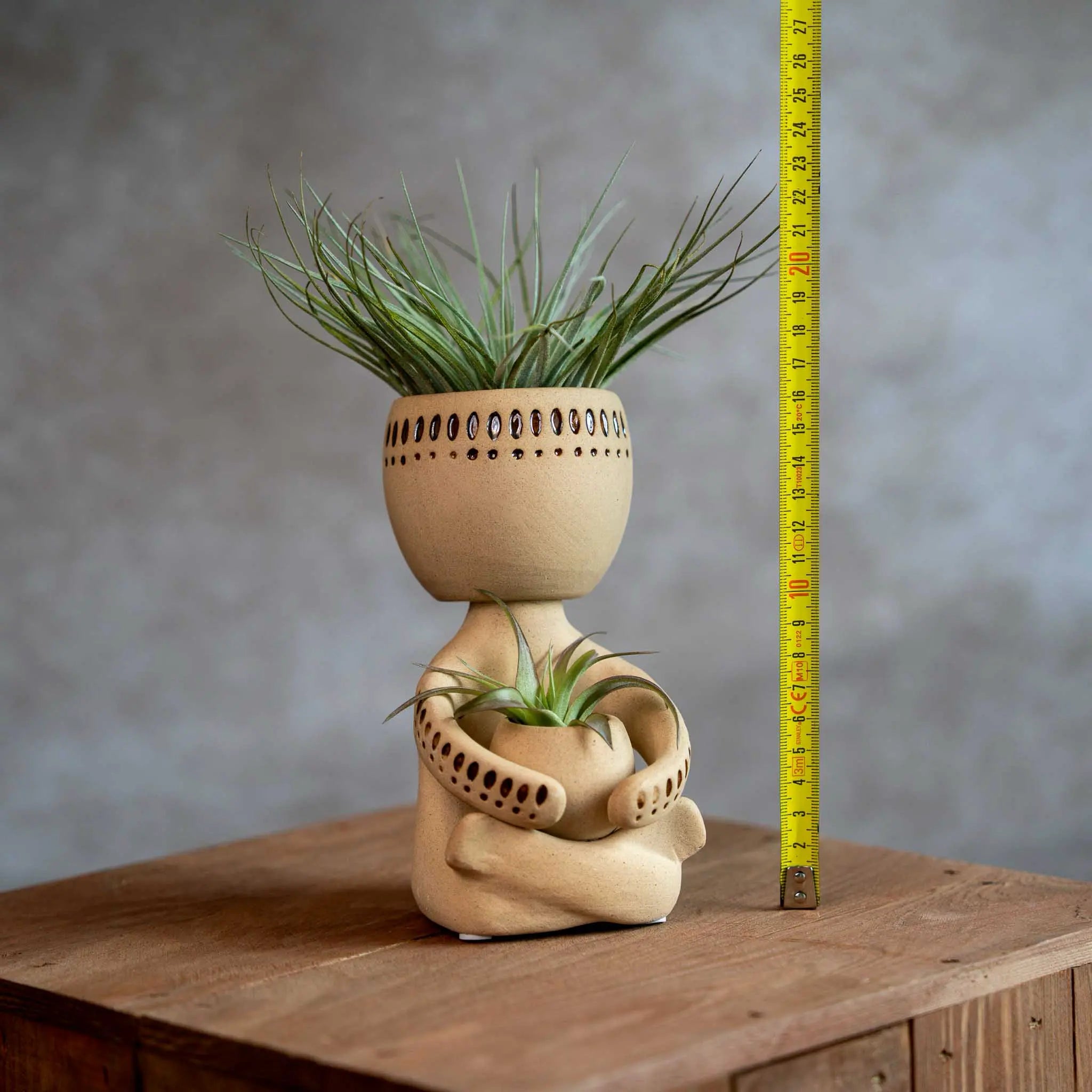 Airplant Man Met Tillandsia