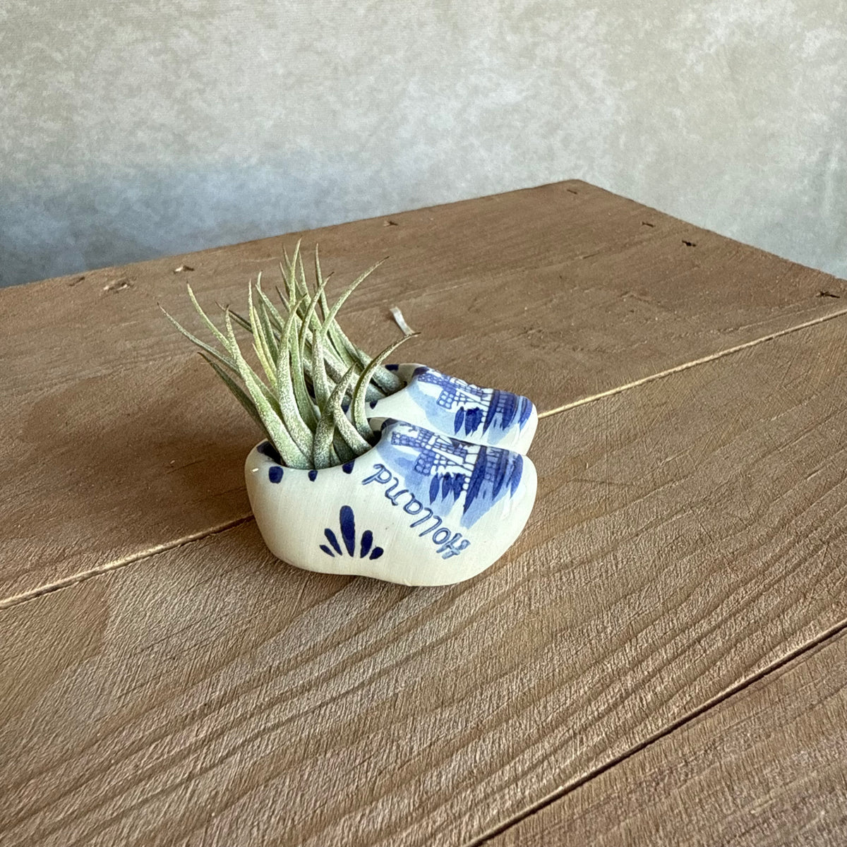 Magneet klompjes 5cm met airplant