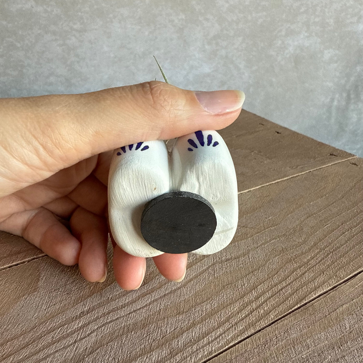 Magneet klompjes 5cm met airplant