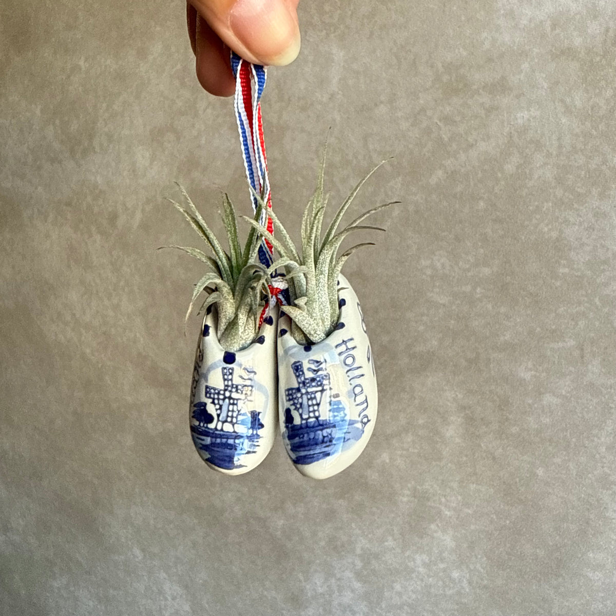 Mini klompjes 5cm met airplant