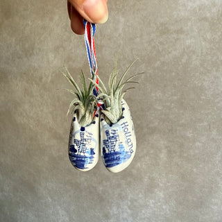 Mini klompjes 5cm met airplant