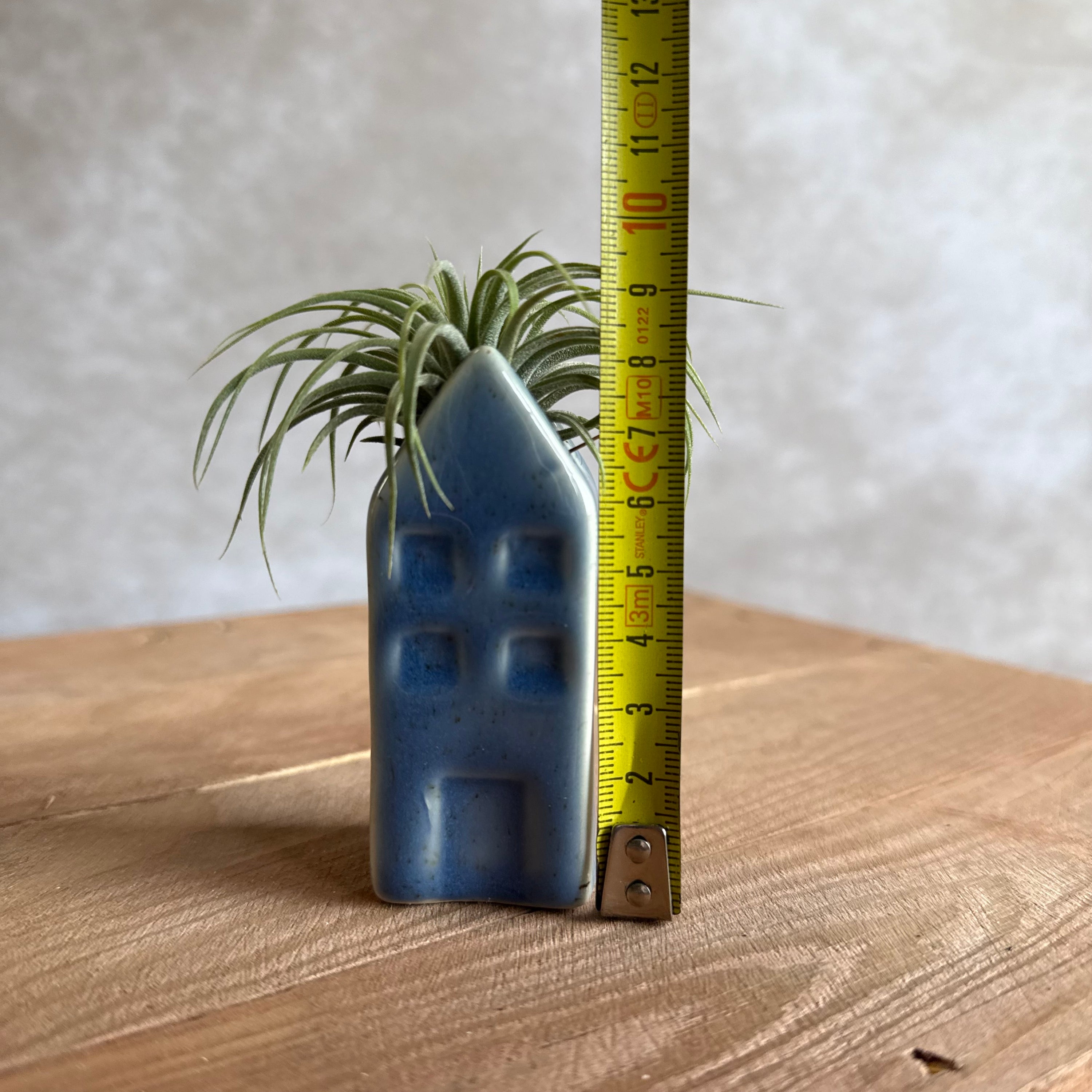 Grachtenpandje + airplant