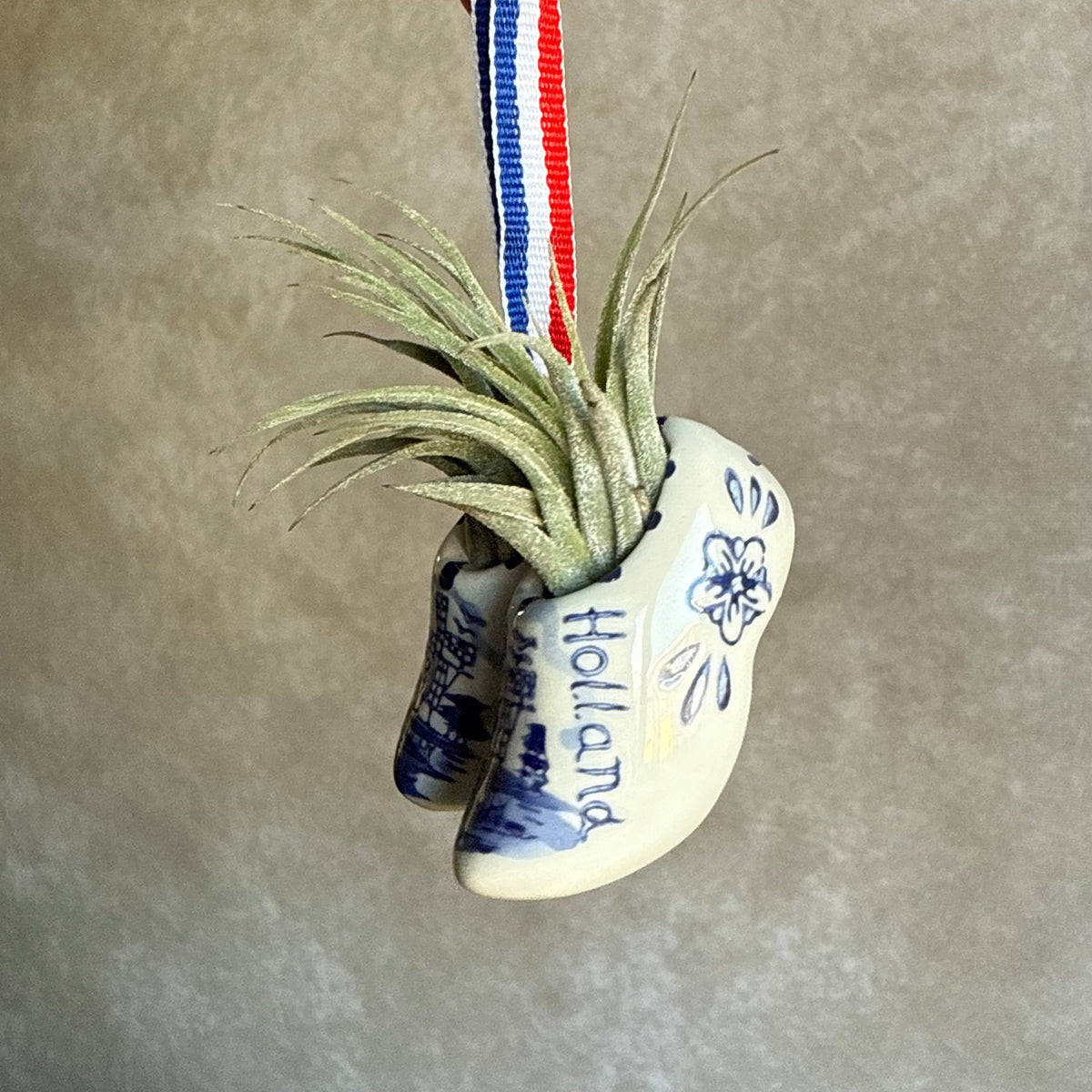 Mini klompjes 5cm met airplant