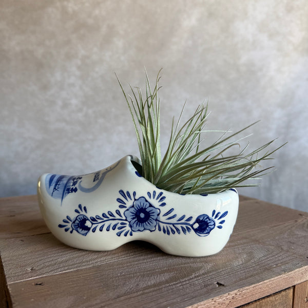 Klomp Delfts blauw 15cm met airplant