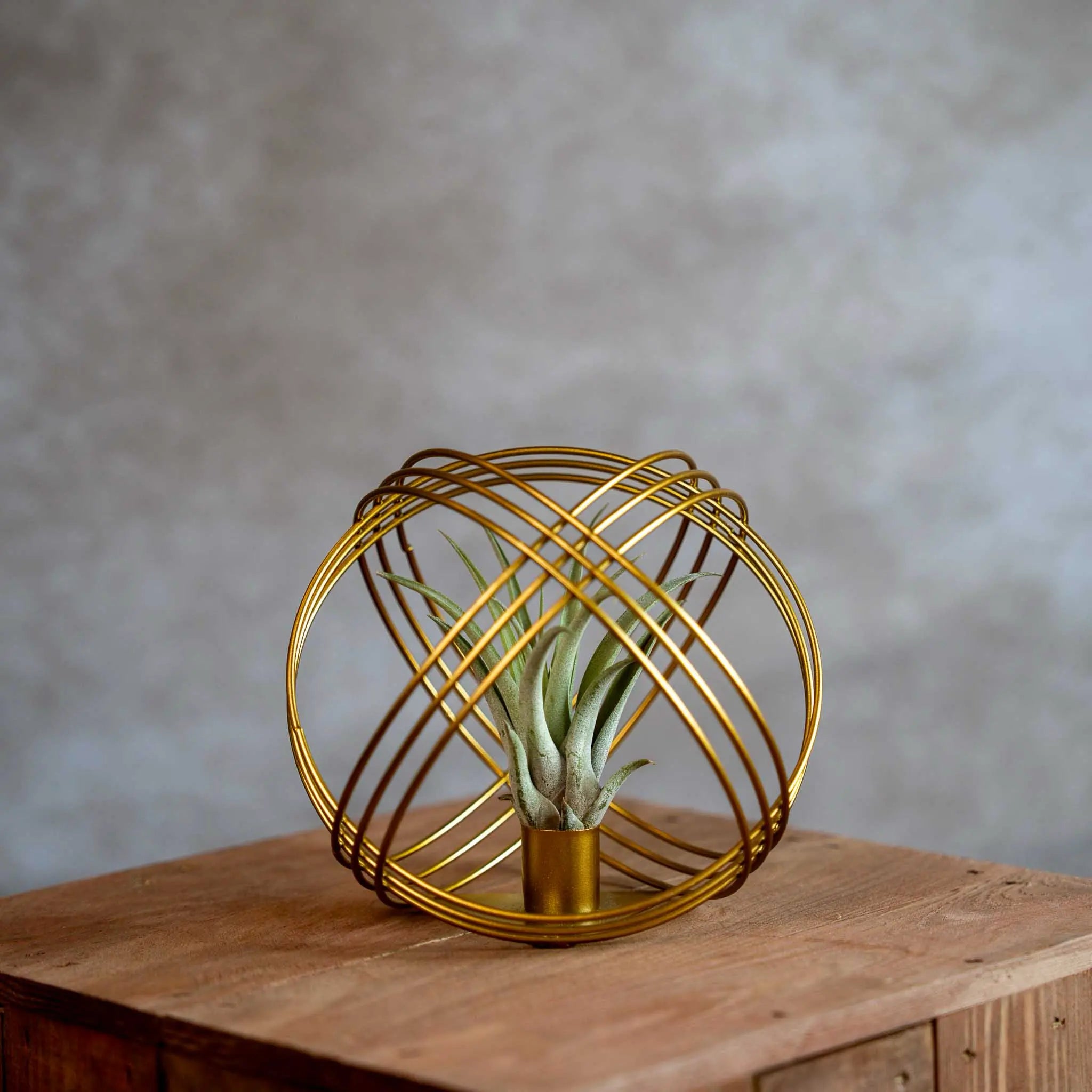 Goud Metalen Bal Met Airplant
