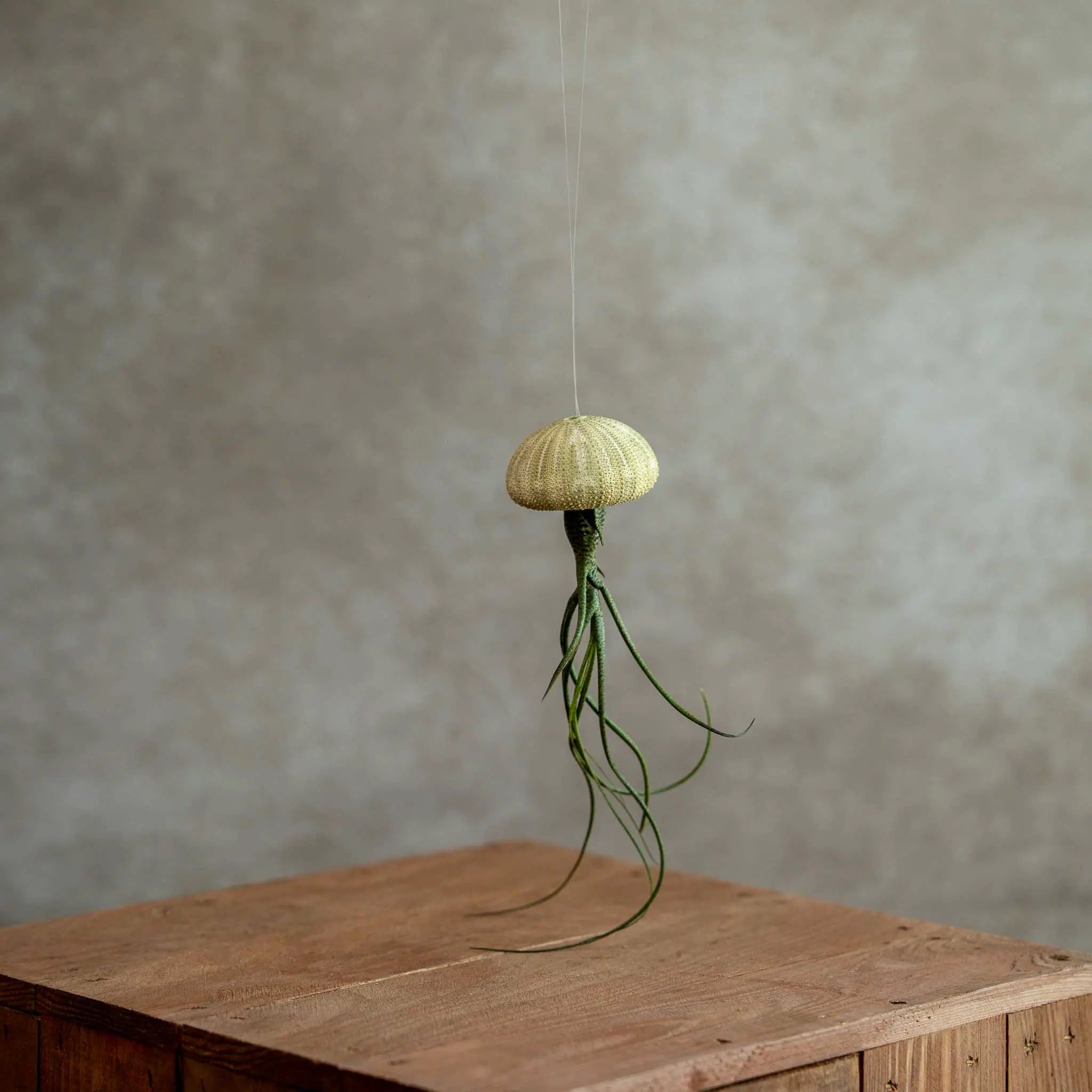 Jellyfish Groen