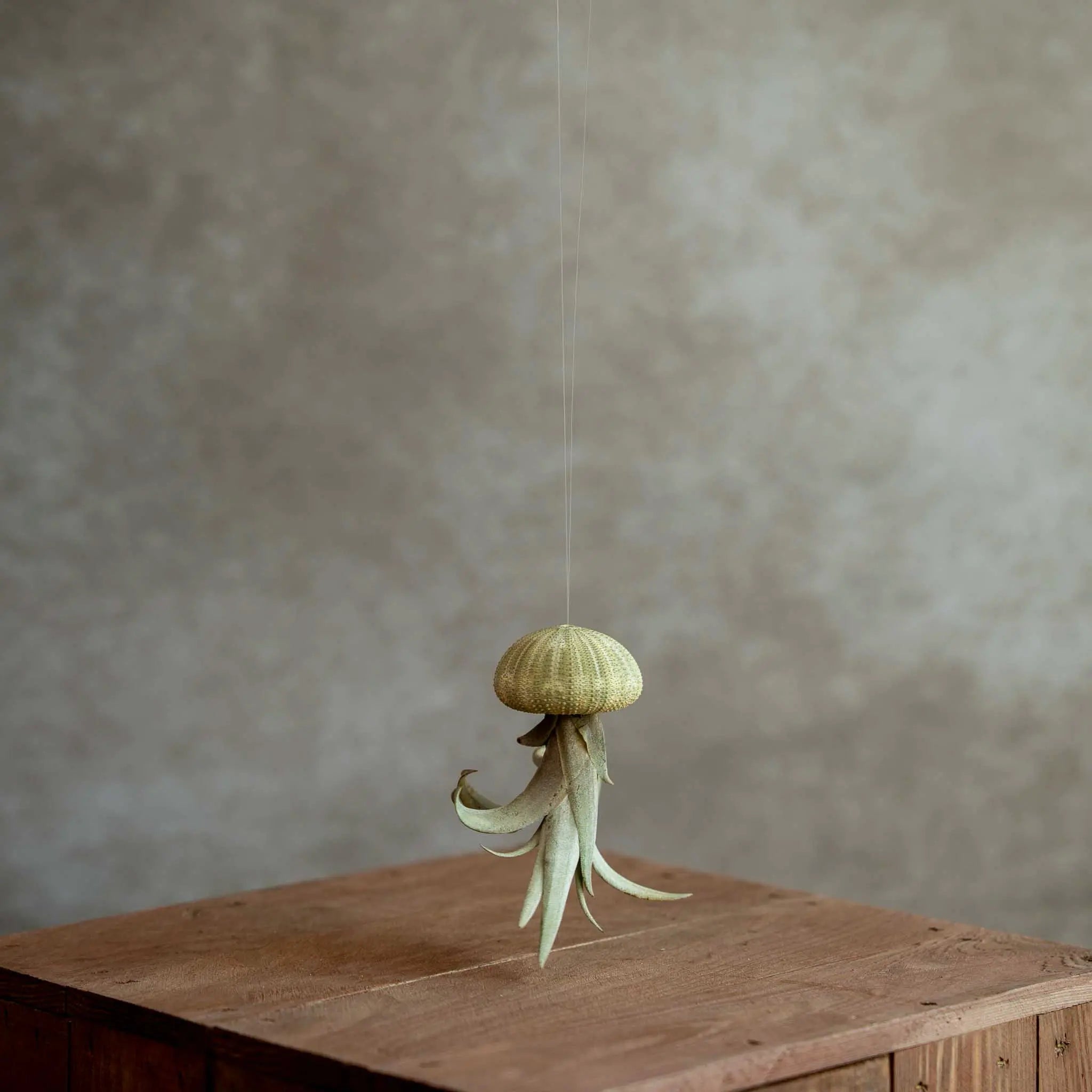 Jellyfish Groen