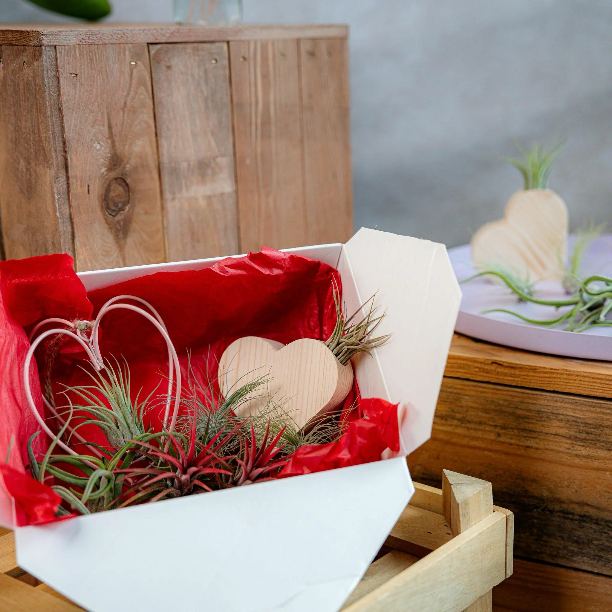 Love Box