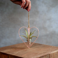 Roze Metalen Hartje Met Tillandsia Multiflora