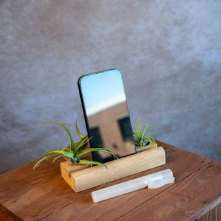 Telefoonhouder met Airplants