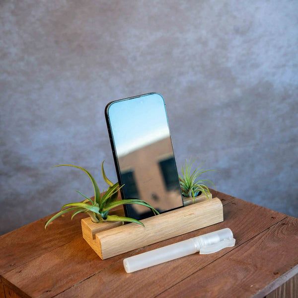 Telefoonhouder met Airplants