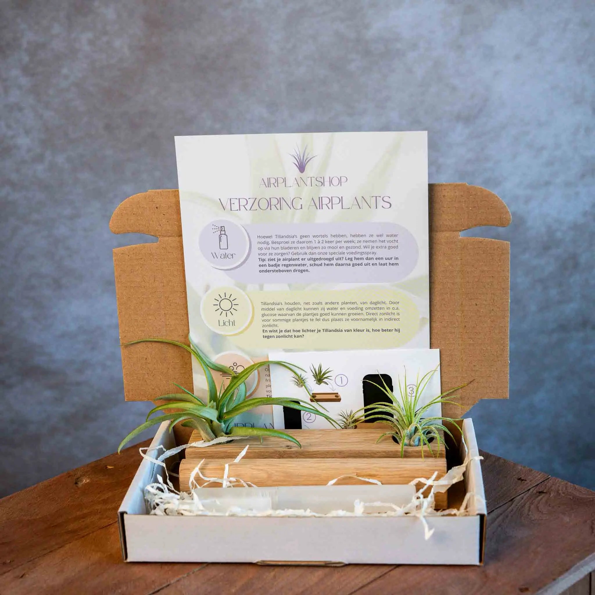Telefoonhouder met Airplants