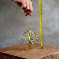 X Mass Ball Goud Met Airplant