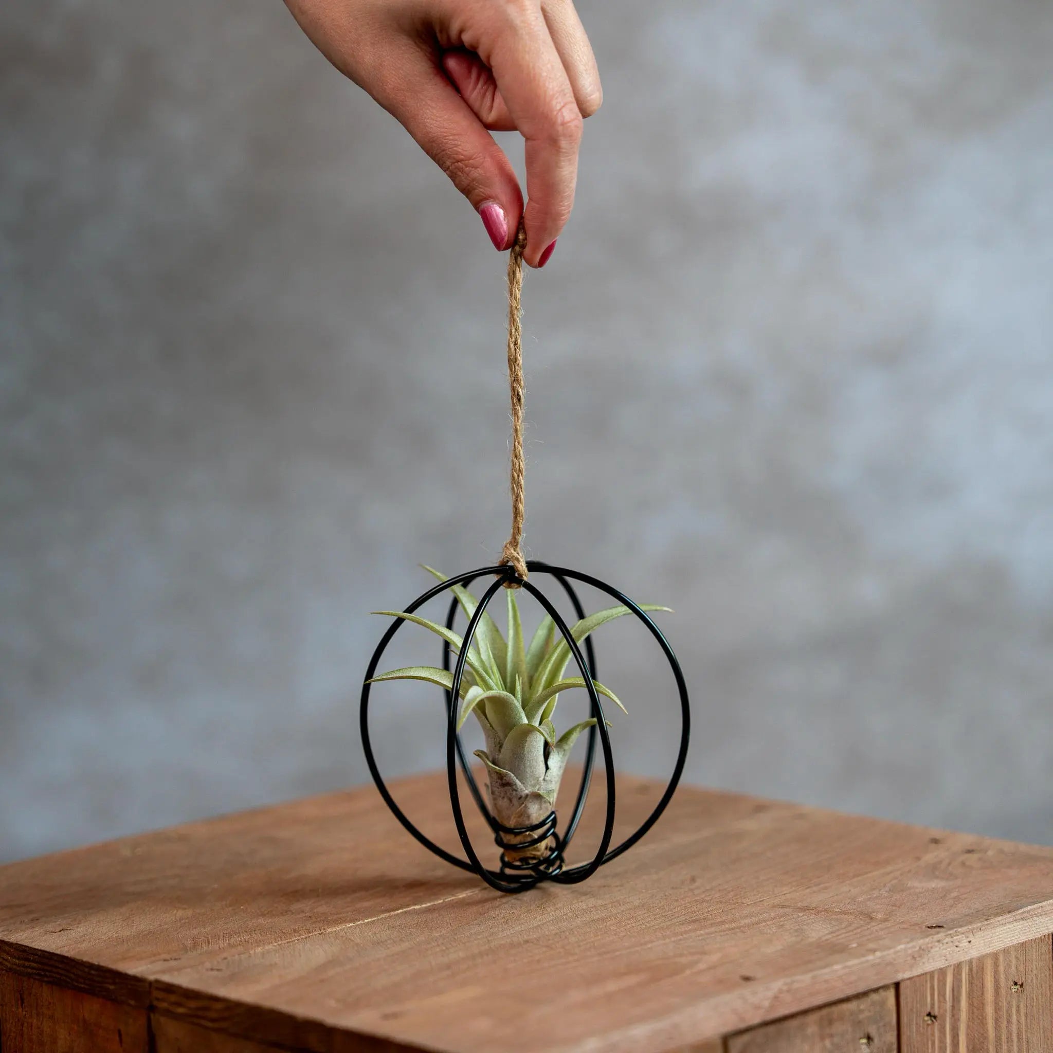 X Mas Ball Zwart Met Airplant