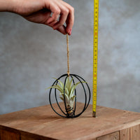 X Mas Ball Zwart Met Airplant