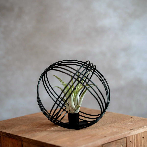 Zwart Metalen Bal Met Airplant