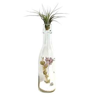 DIY: Fles met Droogbloemen en Tillandsia