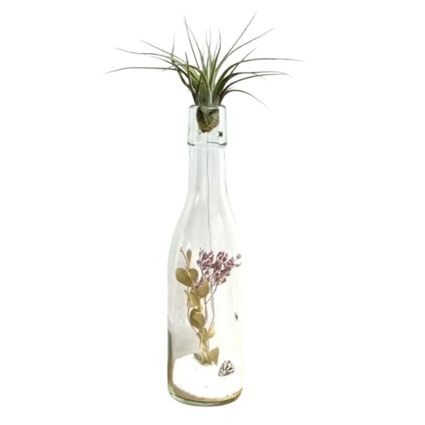 Diy Fles Met Droogbloemen En Tillandsia