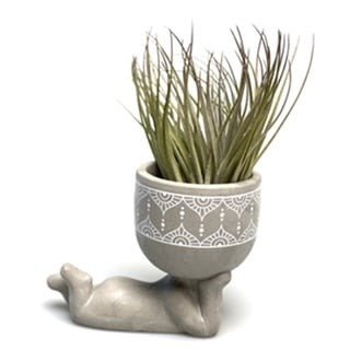 Lazy Airplantman Grijs Met Airplant 2