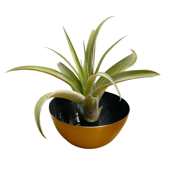 Metal Candle Holder Donker Blauw Met Airplant