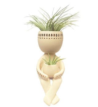 Swinging Airplant Man met Tillandsia