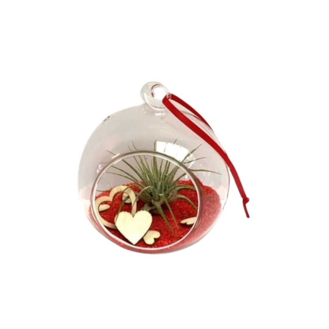 Valentijn Love Ball