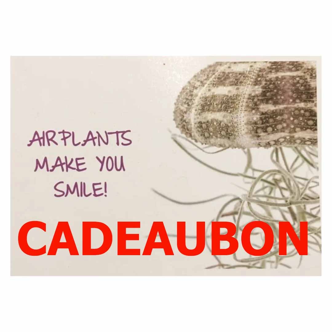 Cadeaubon