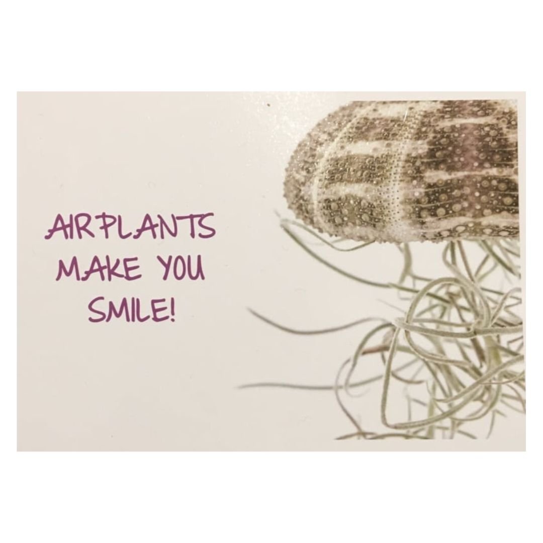 Ontwerp Zonder Titel 9