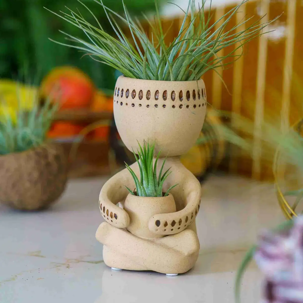 Luchtplant houder zandkleurig poppetje in een keuken setting met Tillandsia airplants