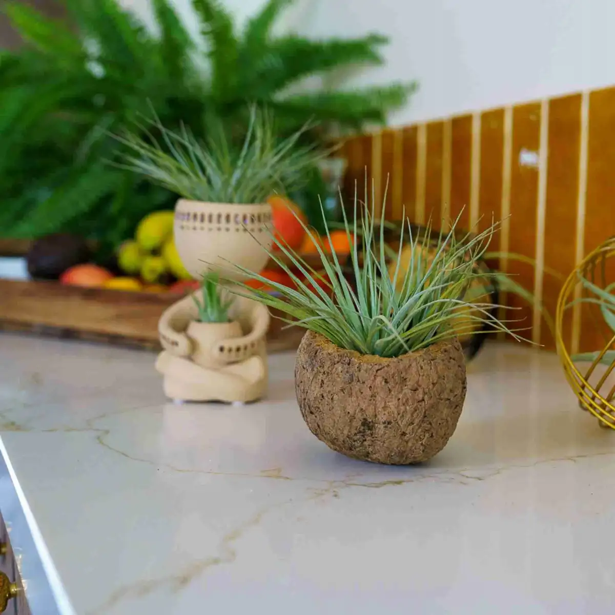 Luchtplant houder zandkleurig poppetje in een keuken setting met Tillandsia airplants