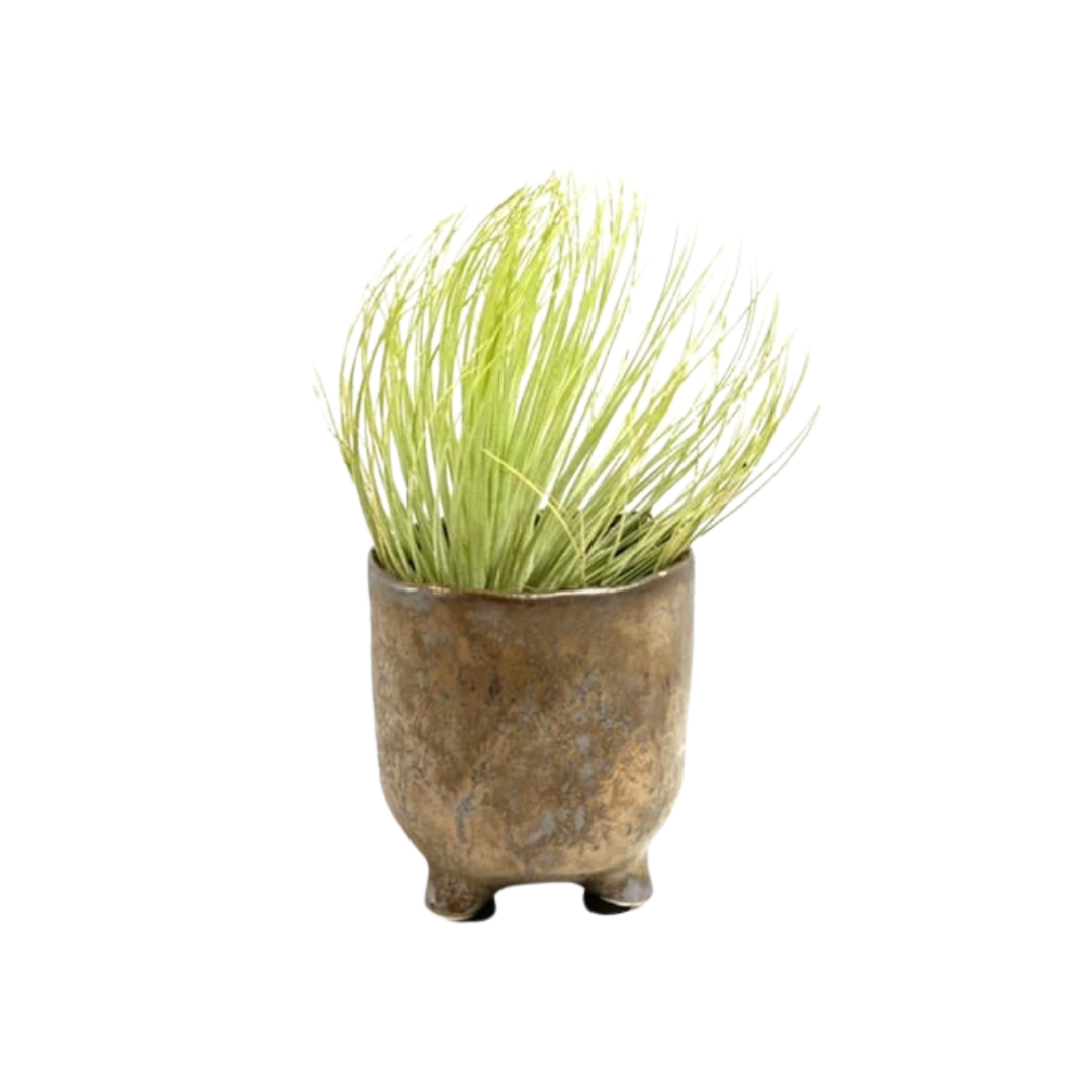 Brons Potje met Airplant - Andreana