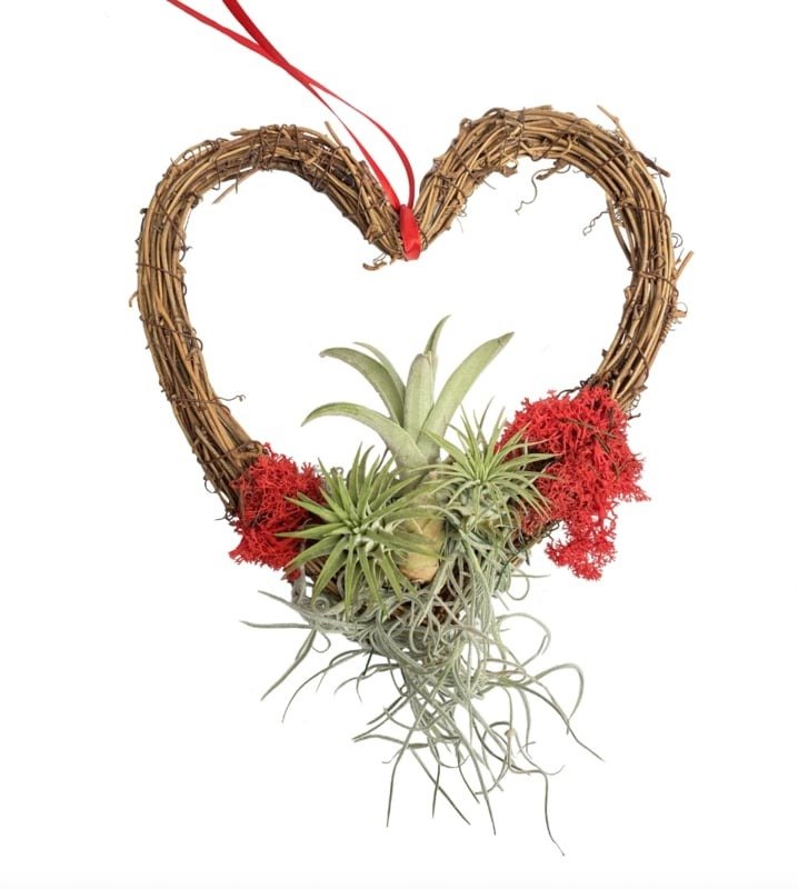 DIY: Krans in Hartvorm met Airplants