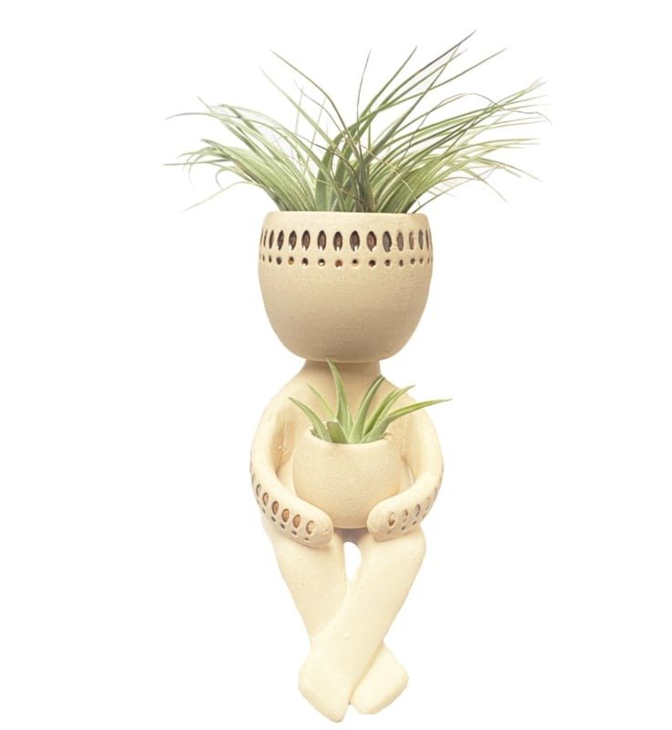 Swinging Airplant Man with Tillandsia