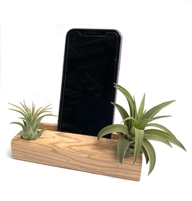 Telefoonhouder met Airplants