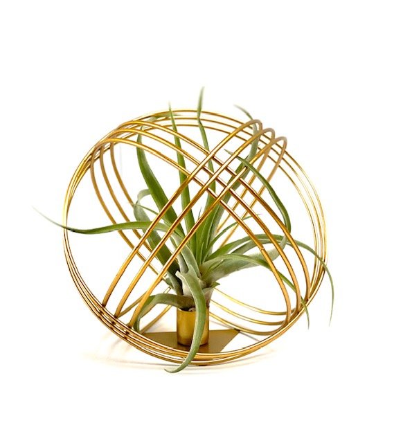 Goud Metalen Bal met Airplant