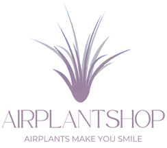 Airplantshop